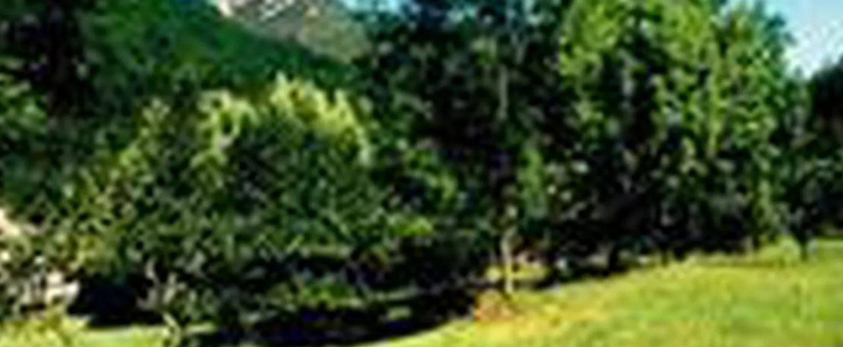 Camping à la Ferme La Pomarède