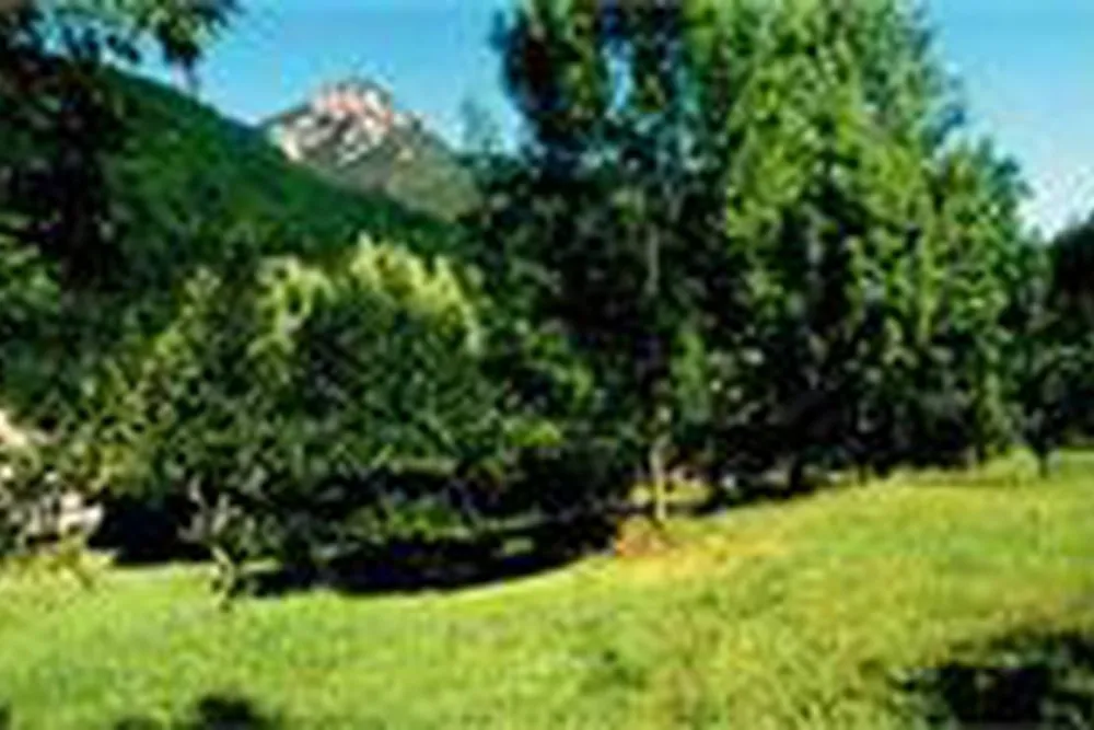 Camping à la Ferme La Pomarède