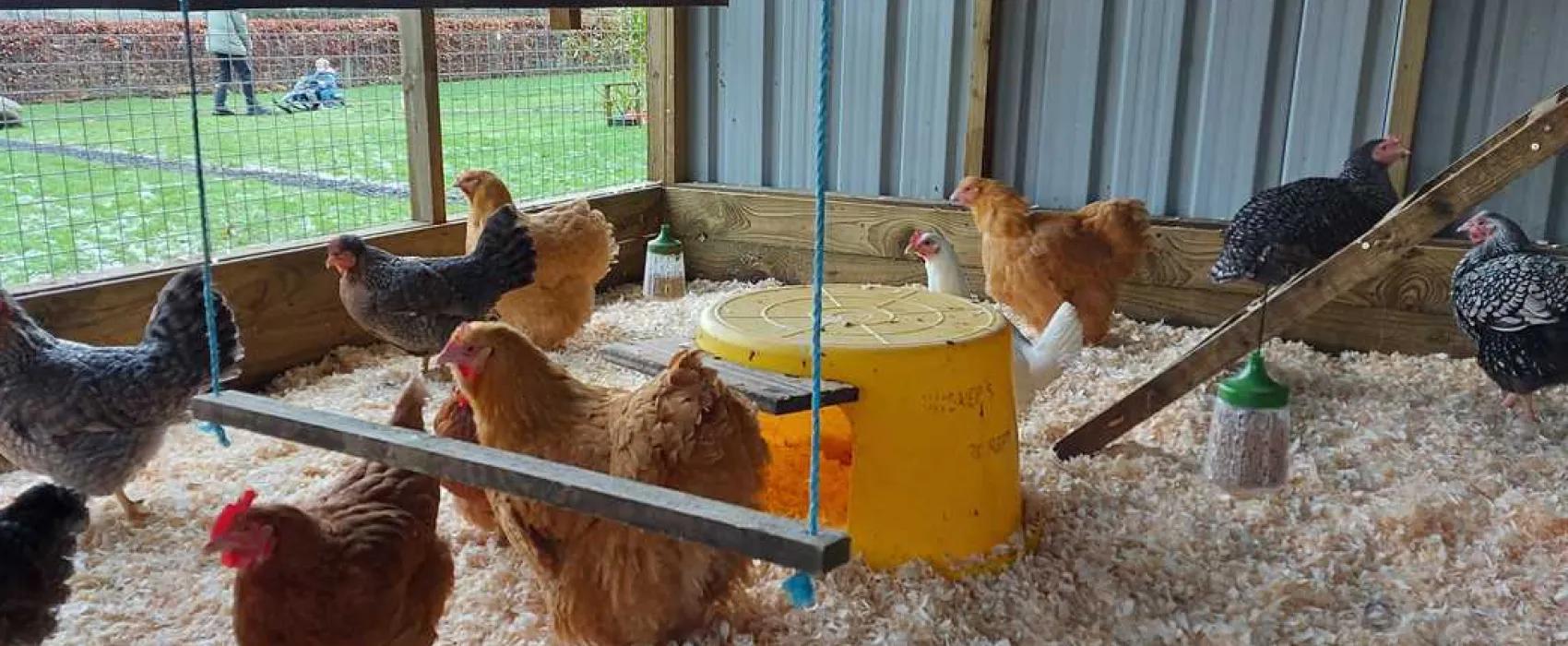 Thornfield Camping Cabins