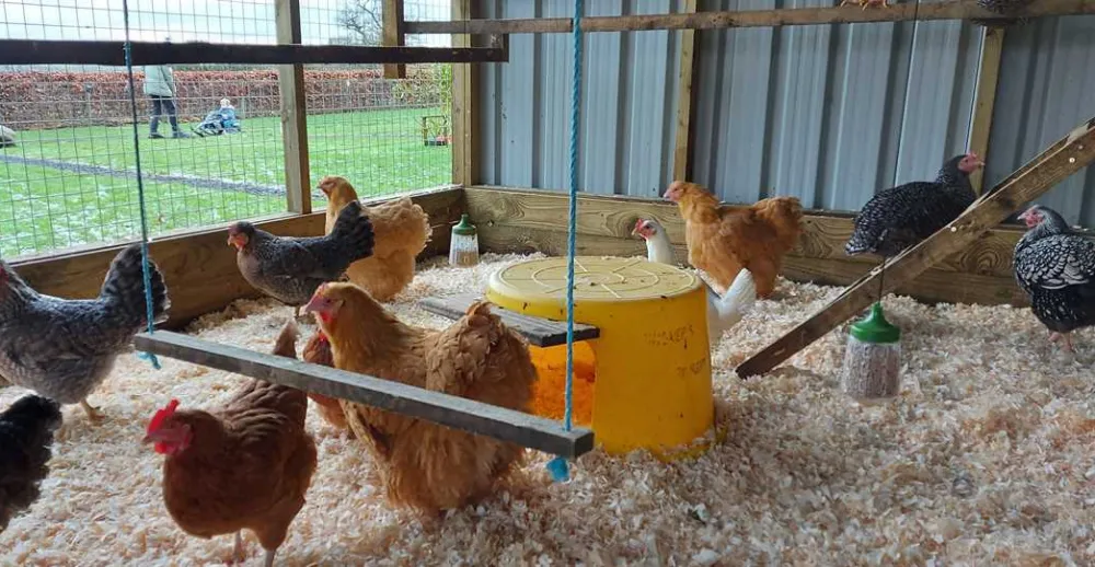 Thornfield Camping Cabins