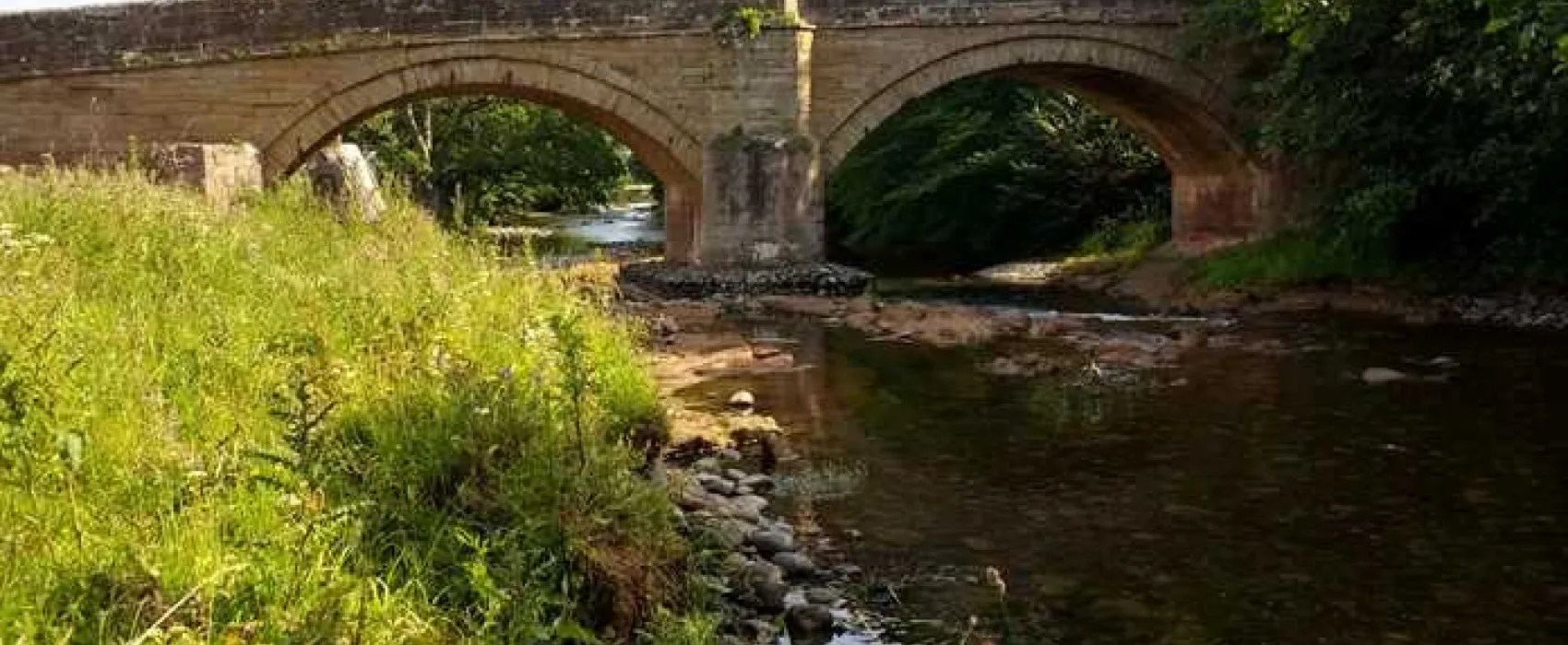 Thornfield Camping Cabins