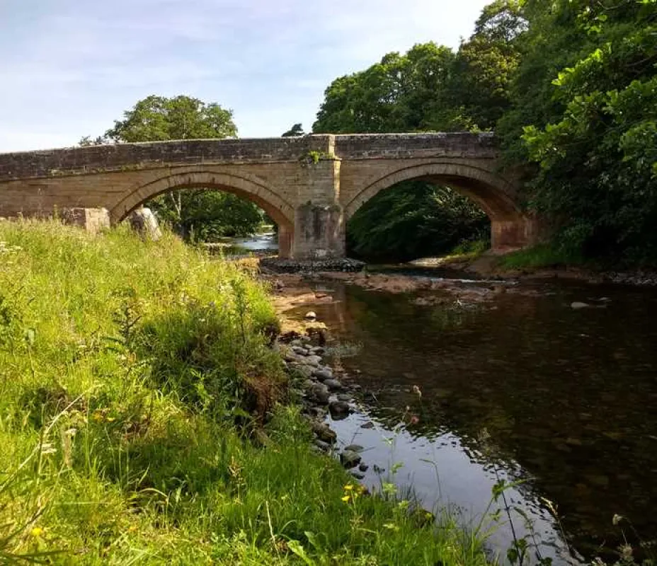 Thornfield Camping Cabins