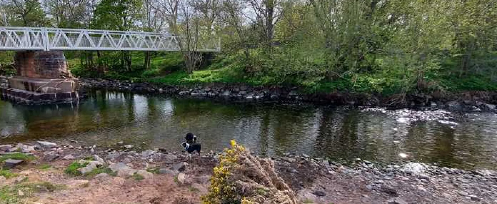 Thornfield Camping Cabins