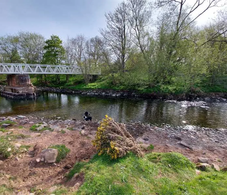 Thornfield Camping Cabins