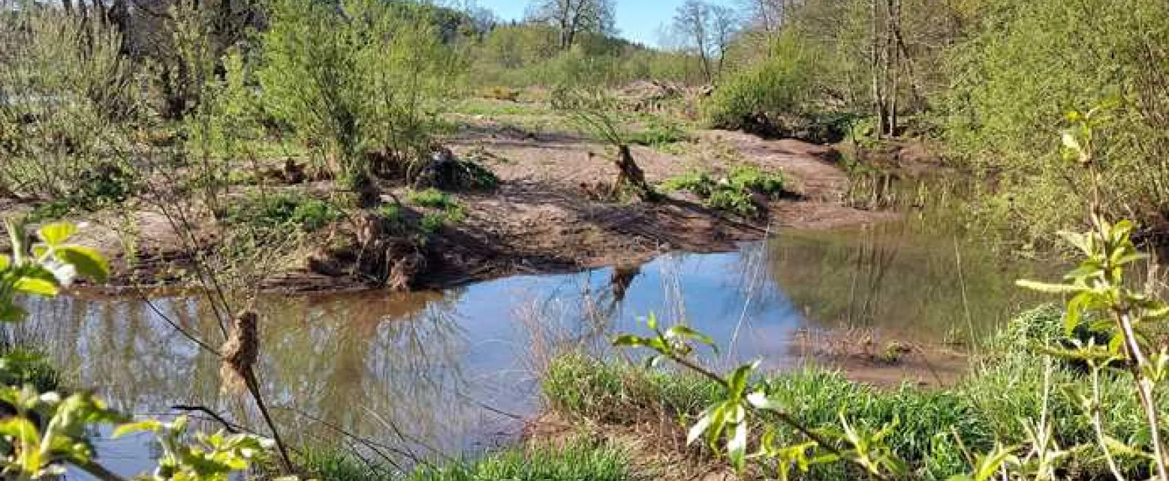 Thornfield Camping Cabins