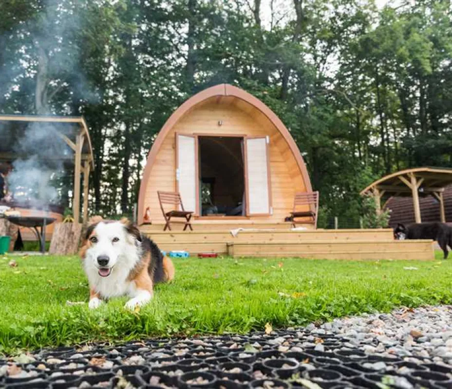 Thornfield Camping Cabins