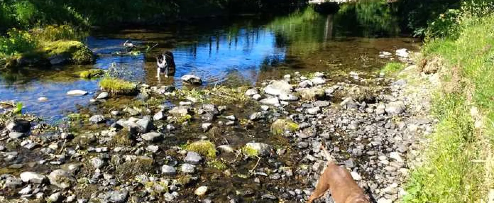 Thornfield Camping Cabins