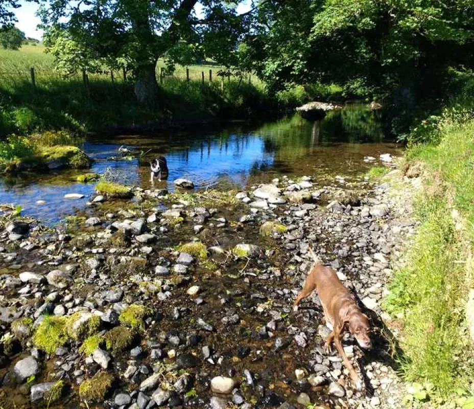 Thornfield Camping Cabins