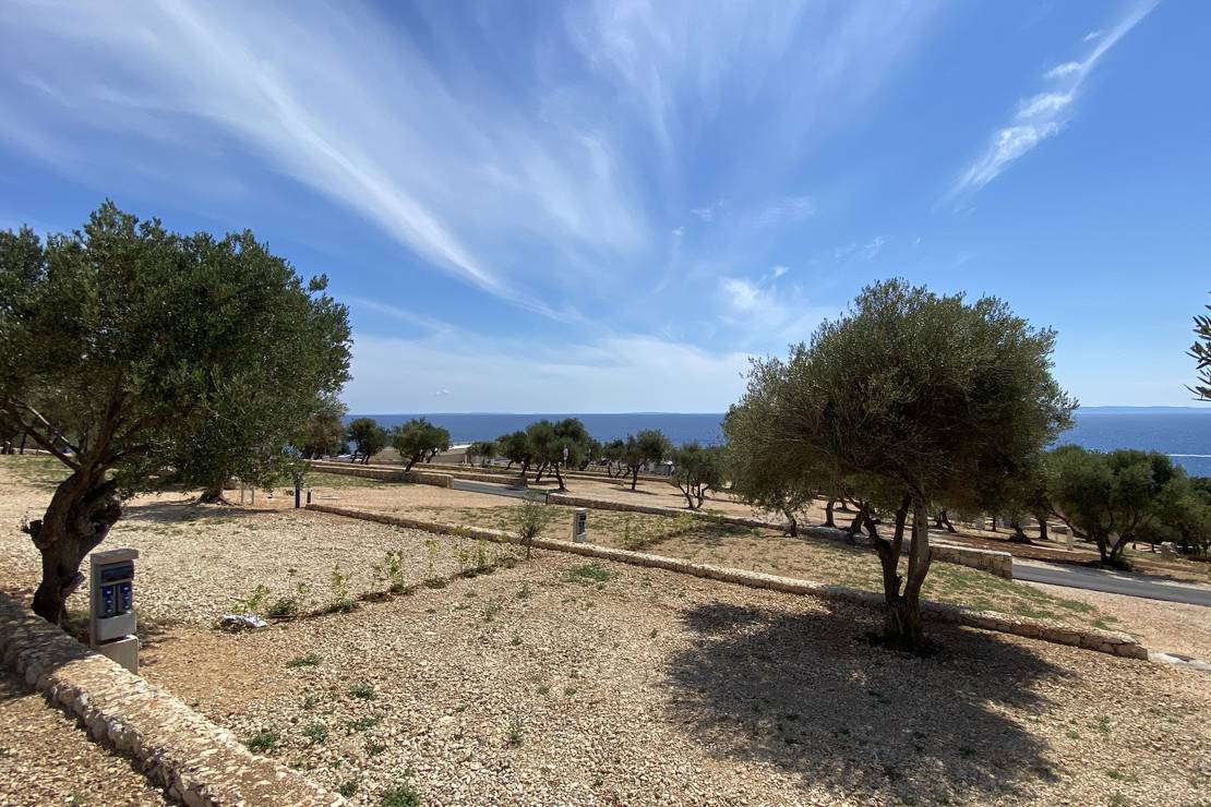 Olea Camping - Photo 3