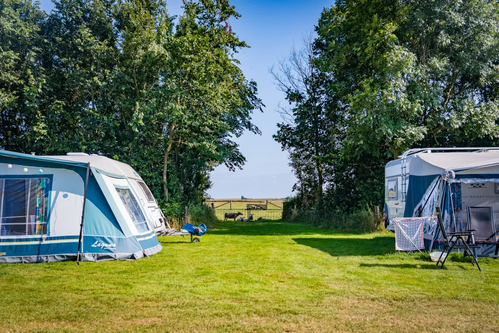 Camping De Hoge Kamp - Texel