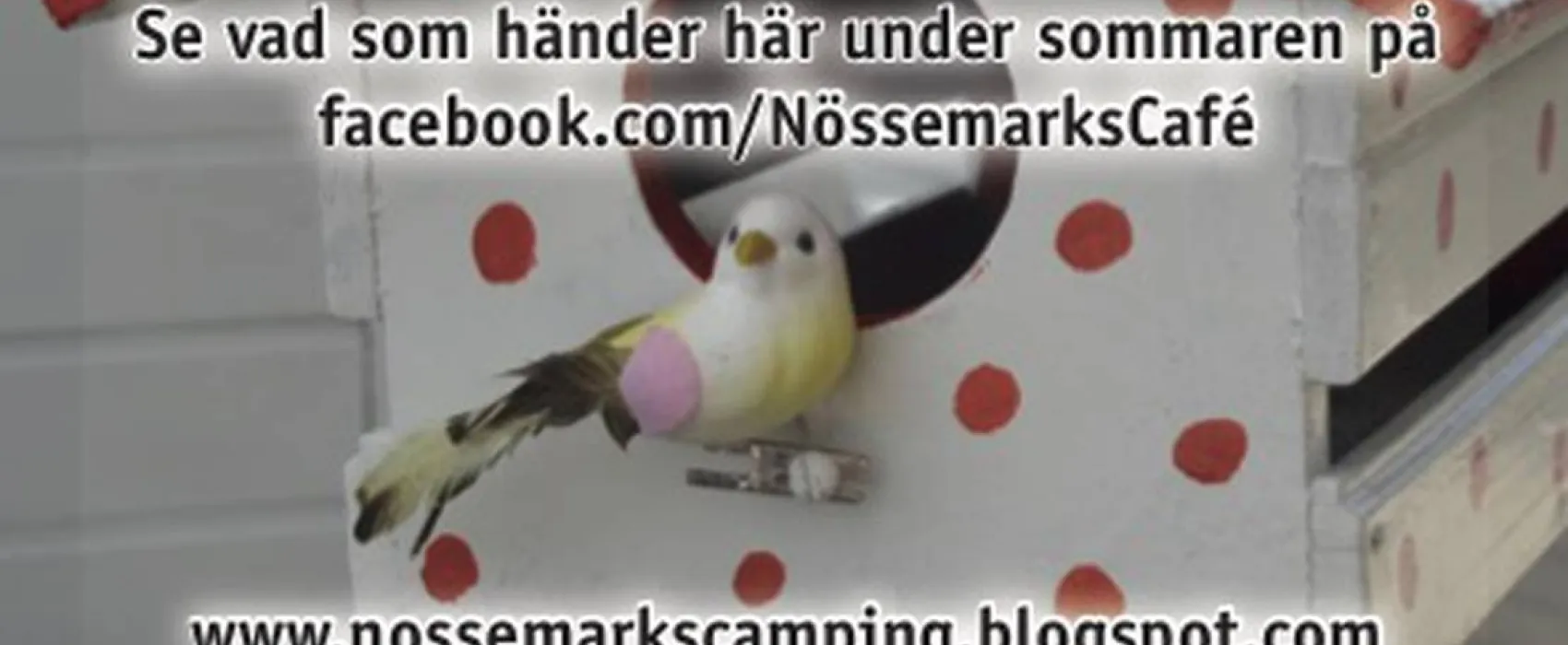 Nössemarks Camping