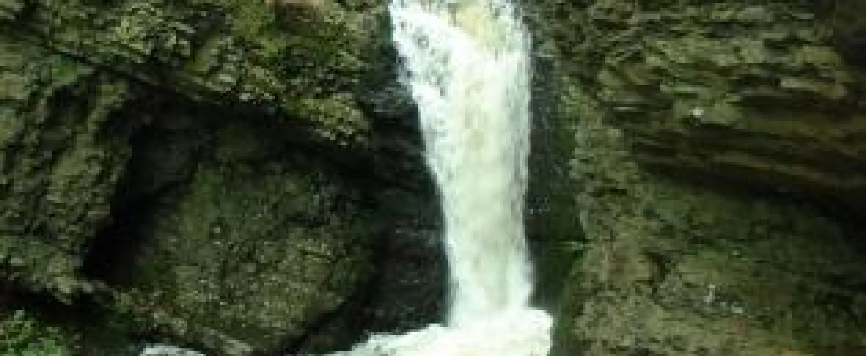 Council Cup Campground