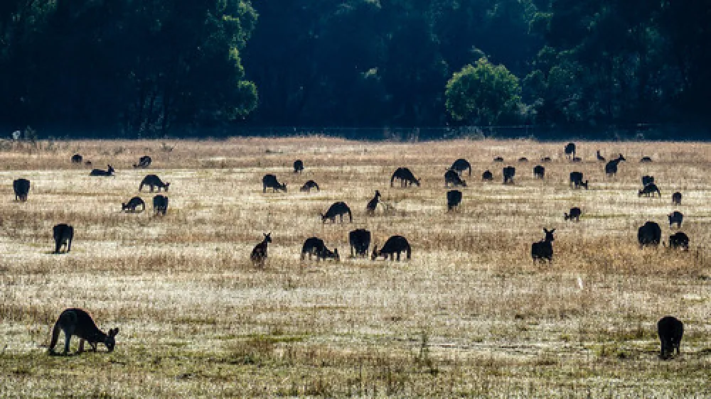 Tom Groggin Campground