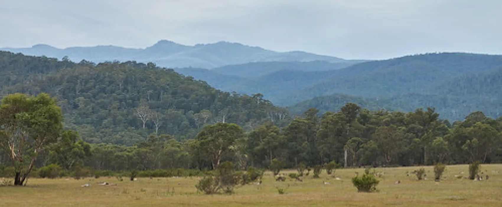 Tom Groggin Campground