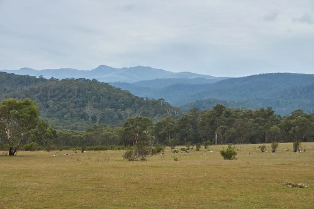 Tom Groggin Campground