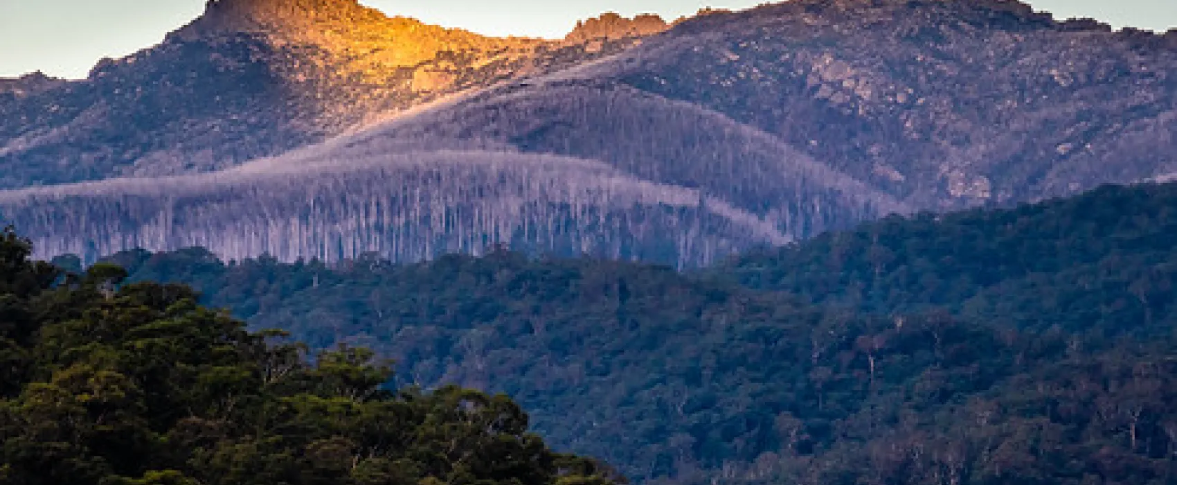 Tom Groggin Campground