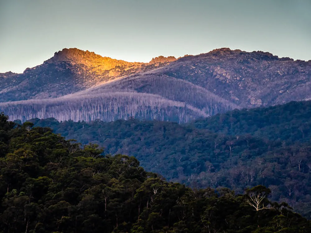 Tom Groggin Campground